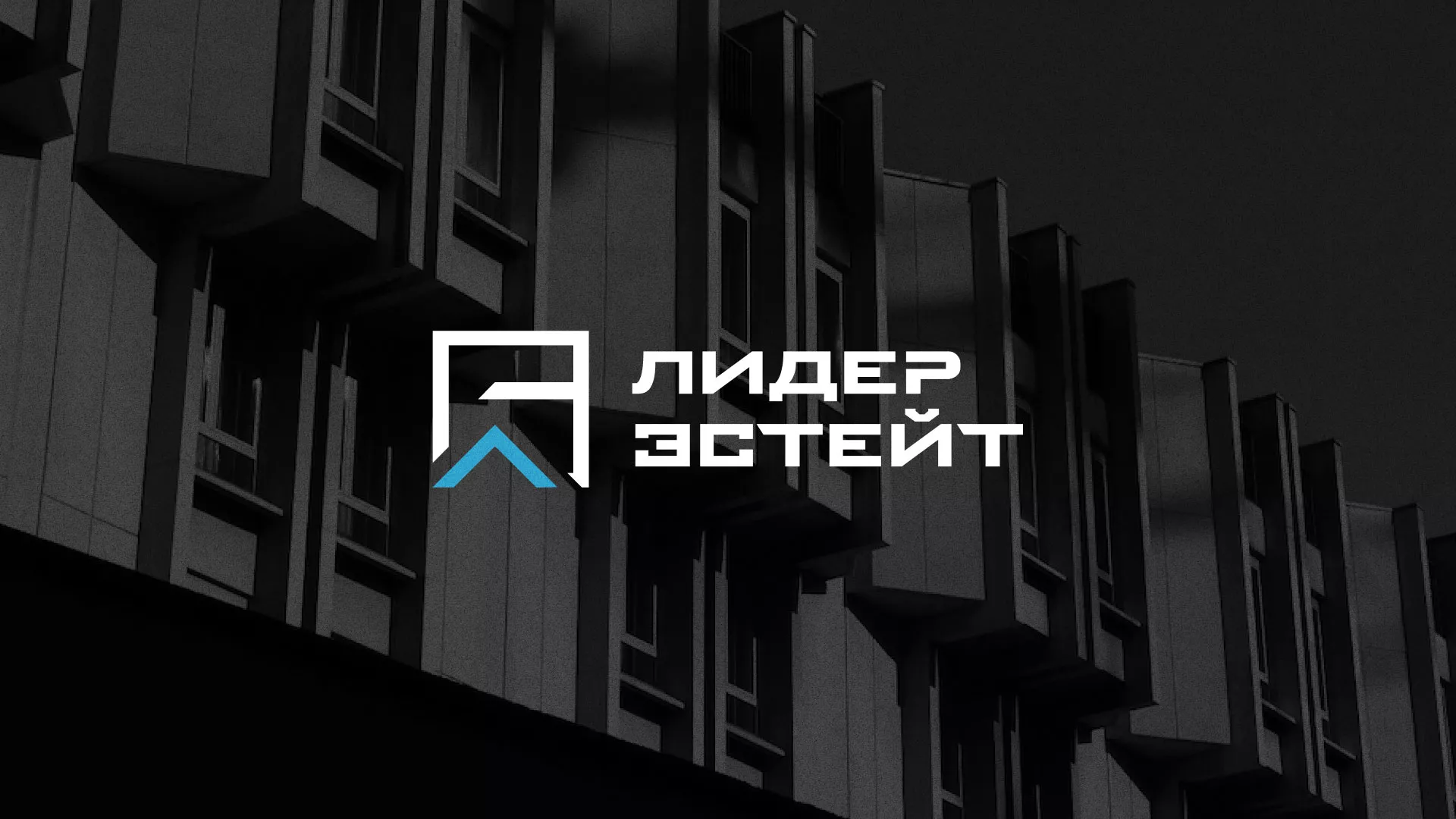 Разработка логотипа агентства недвижимости «Лидер Эстейт» в Нижнем Тагиле